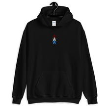 Load image into Gallery viewer, Maverick | Embroidered Unisex Hoodie